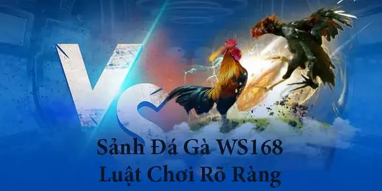Hướng Dẫn Cách Chơi Đá Gà WS168 Tại Vui88 Thắng Lớn Nhận Tiền Thưởng Ngay