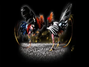 Bí Quyết Cách Chơi Đá Gà Sabong Tại Vui88 Hiệu Quả Nhất Năm Nay