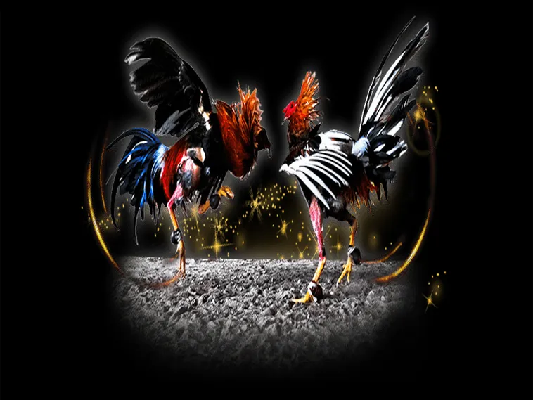 Bí Quyết Cách Chơi Đá Gà Sabong Tại Vui88 Hiệu Quả Nhất Năm Nay 1 Bí Quyết Cách Chơi Đá Gà Sabong Tại Vui88 Hiệu Quả Nhất Năm Nay