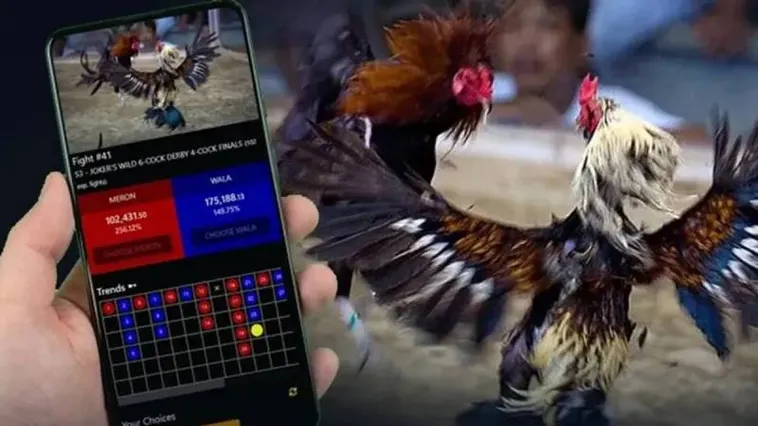 Trải Nghiệm Cá Cược Đá Gà Vui88 Đỉnh Cao Nhận Ngay Ưu Đãi Lớn